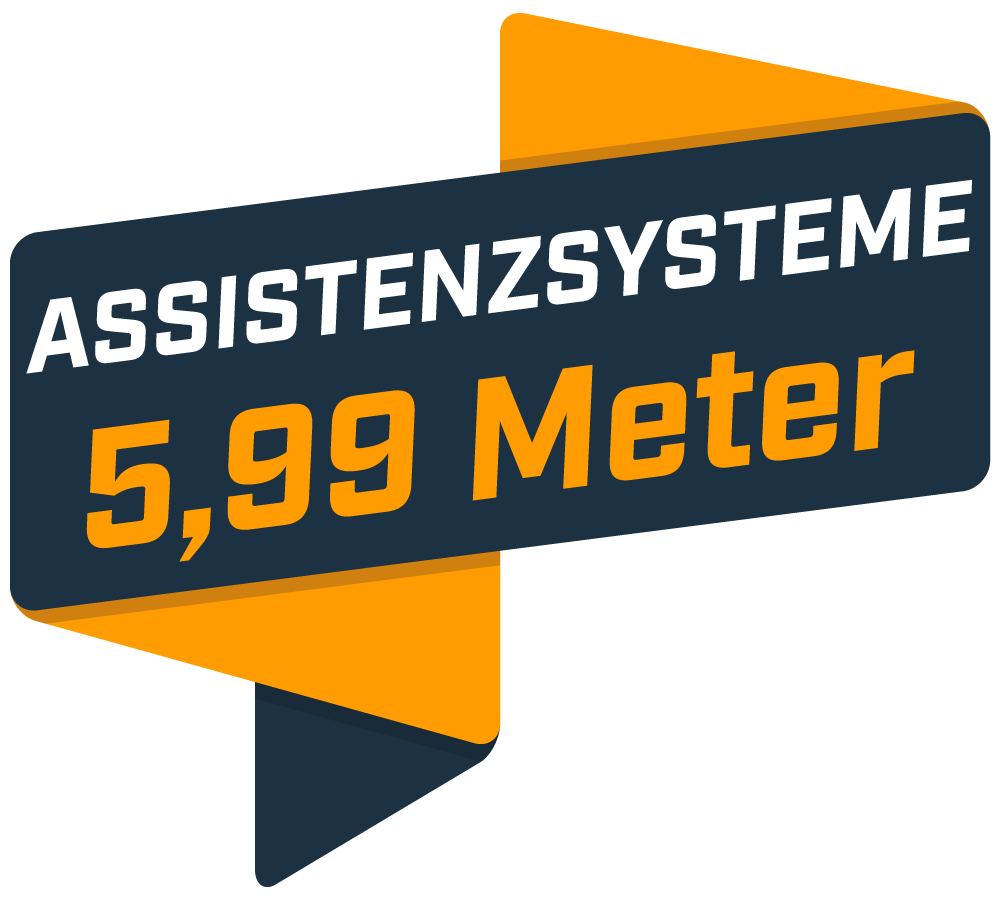Fahrzeugspezifikations-Icon-599-Orange